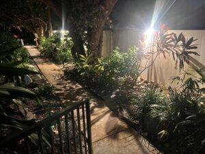 Exterior lighting installed to illuminate landscape and architectural features