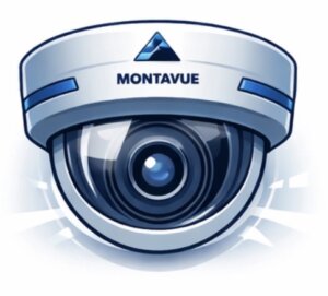 Security camera and surveillance system installation icon